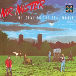 Mr. Mister   <strong>Welcome To The Real World</strong>