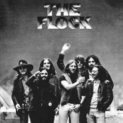 Flock   <strong>Flock</strong>