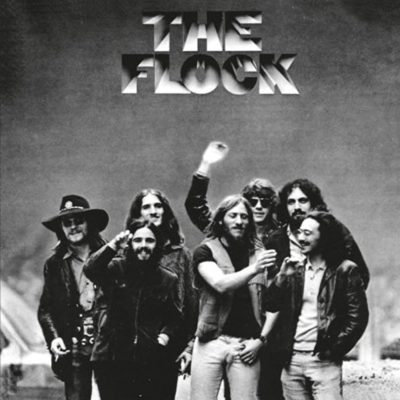 Flock   <strong>Flock</strong>