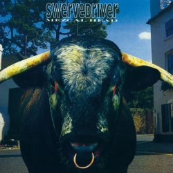 Swervedriver   <strong>Mezcal Head</strong>