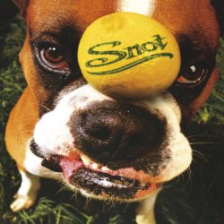 Snot  <strong> Get Some </strong>