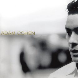 Adam Cohen <strong>Adam Cohen</strong>