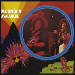 Mountain <strong>Avalanche</strong>