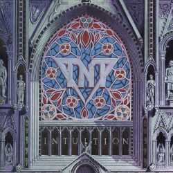TNT <strong> Intuition </strong>
