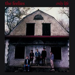 Feelies <strong>Only Life</strong>