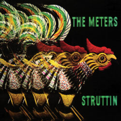 The Meters <strong> Struttin </strong>