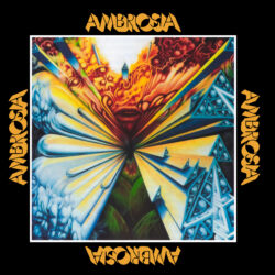 Ambrosia <strong> Ambrosia </strong>