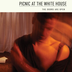 Picnic At The Whitehouse <strong> The Doors Are Open </strong>